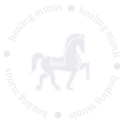 Healing Minis logo