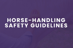 Horse-Handling Safety Guidelines