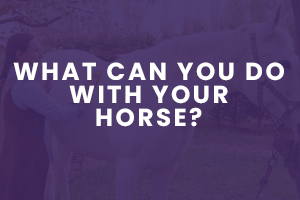 What Can You Do With Your Horse?