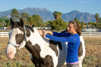 What is Equine Bodywork and How Does It Work?