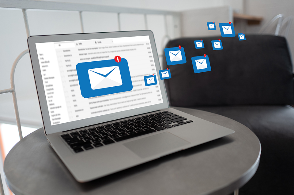 Email Marketing Strategies for Your Equine E-Commerce Business